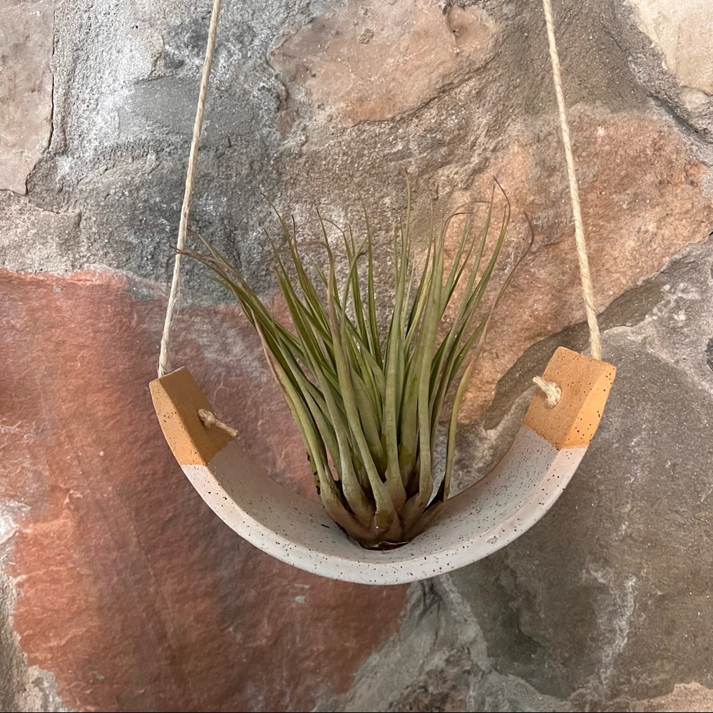 Glazed Ceramic Air Plant Holder